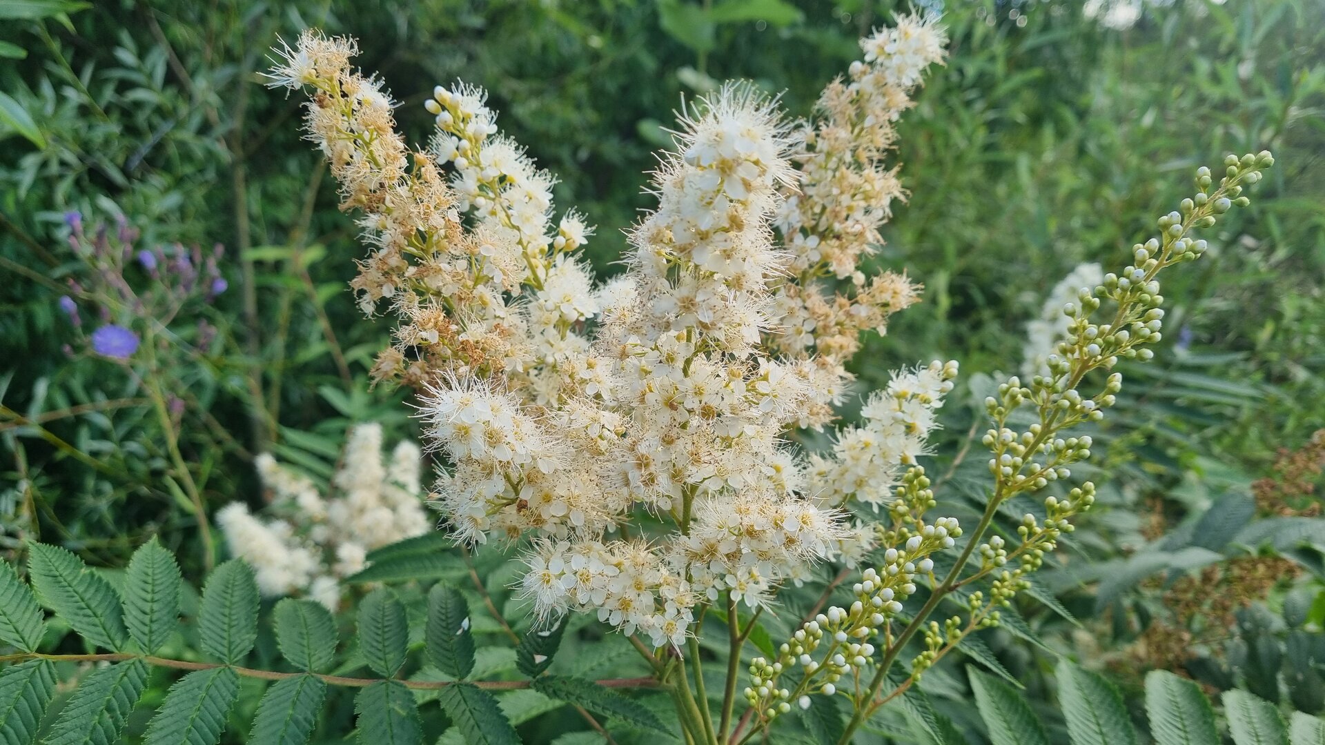20260807_163204.jpg