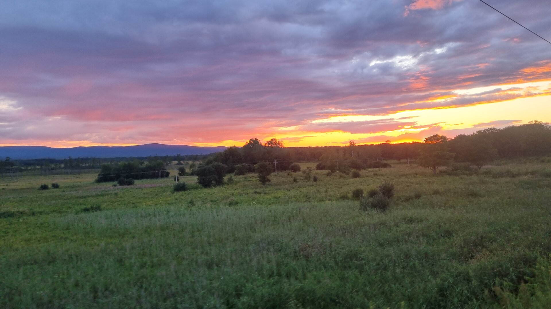 20260807_203433.jpg
