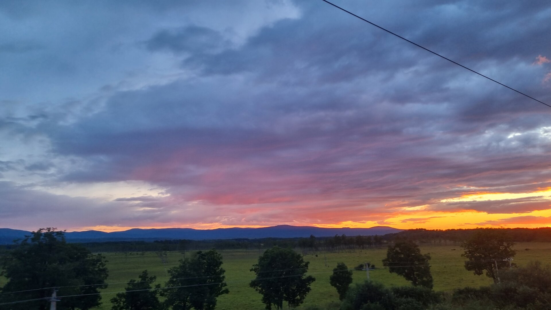 20260807_203500.jpg