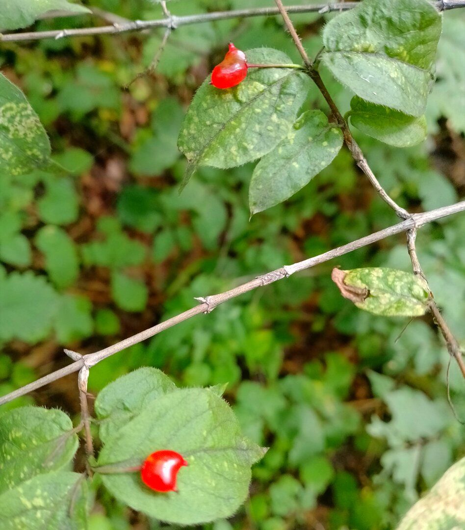 20260809_125457857.jpg