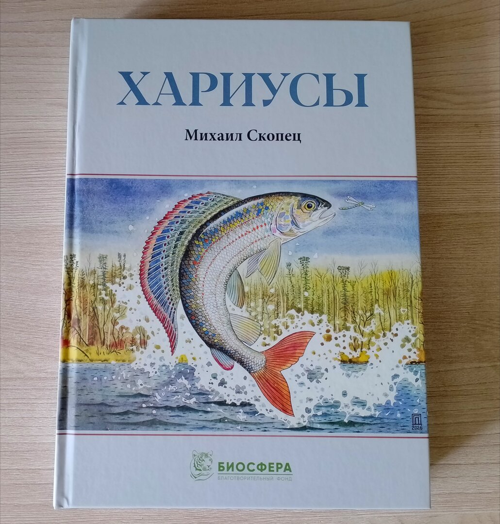 20260809_185359842.jpg