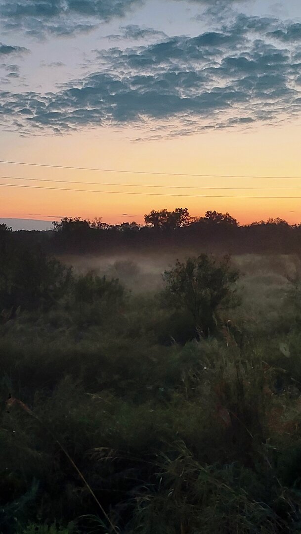 20260822_054850.jpg