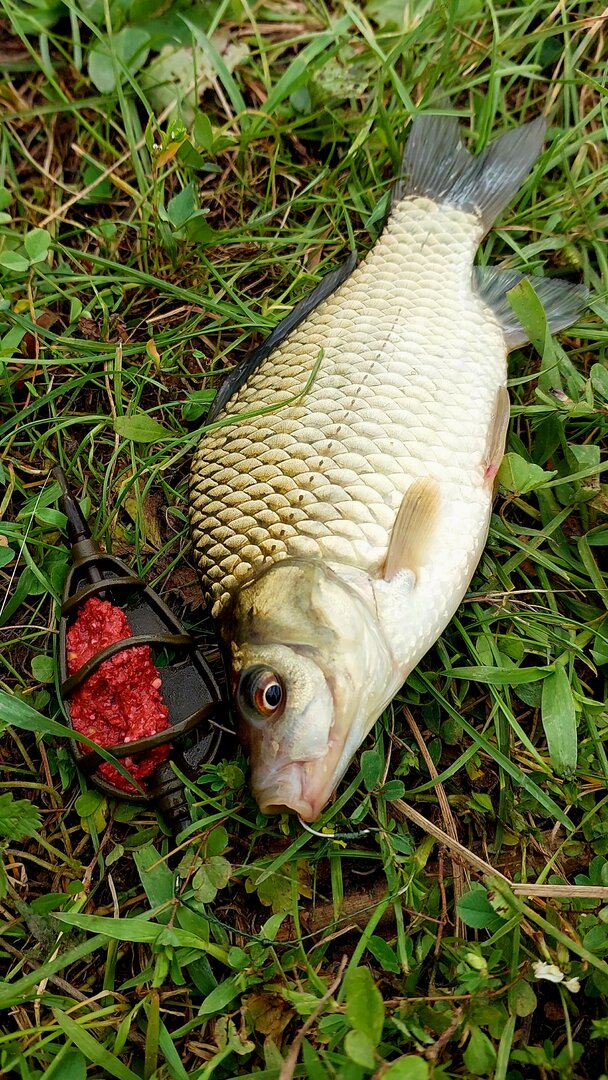 20260822_111755.jpg