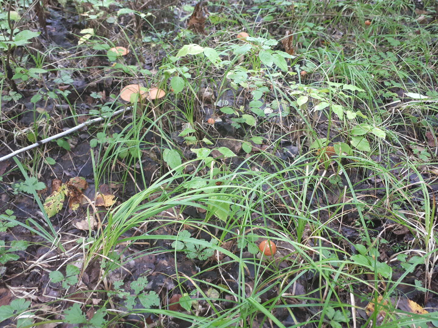 20260825_115644.jpg