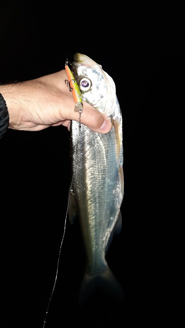 20260825_211321.jpg