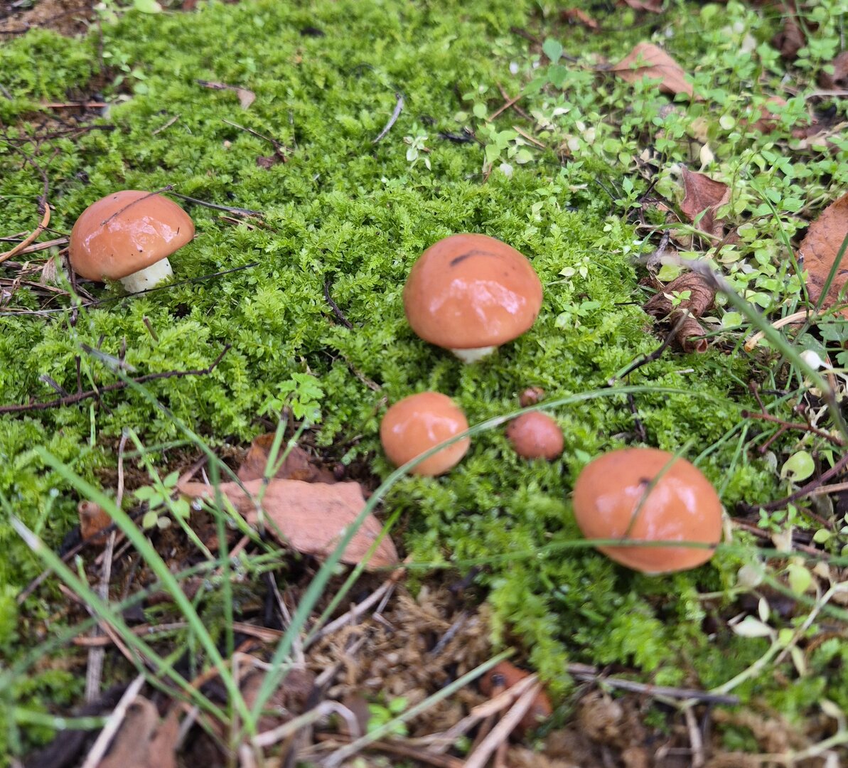 20260826_094642.jpg