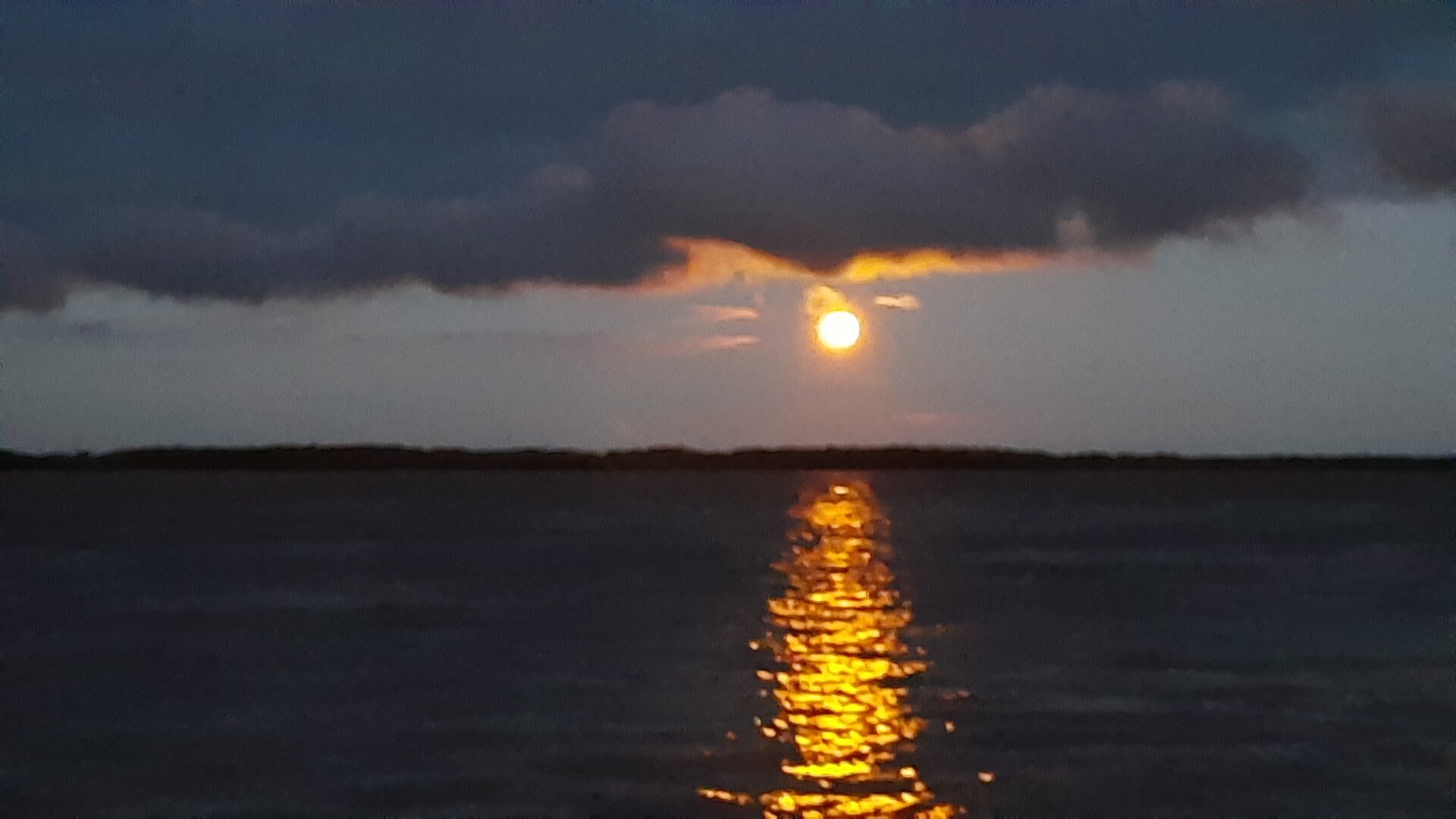 20260828_053022.jpg
