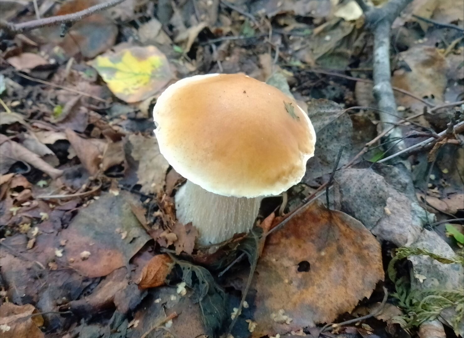 20260829_143304637.jpg