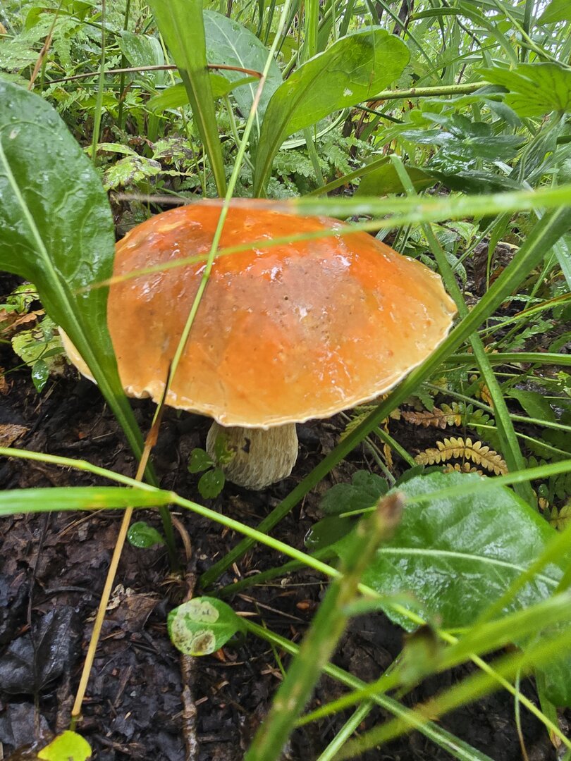 20260830_122855.jpg