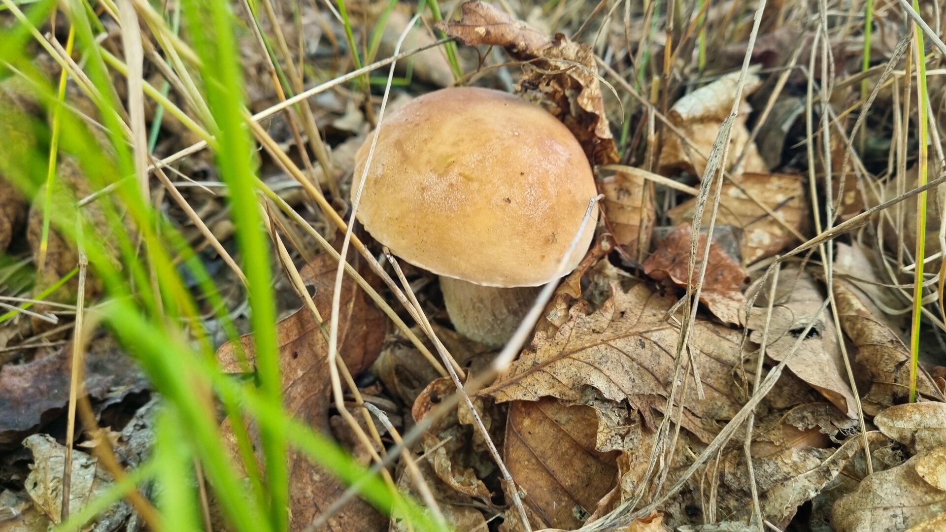 20260901_075009.jpg