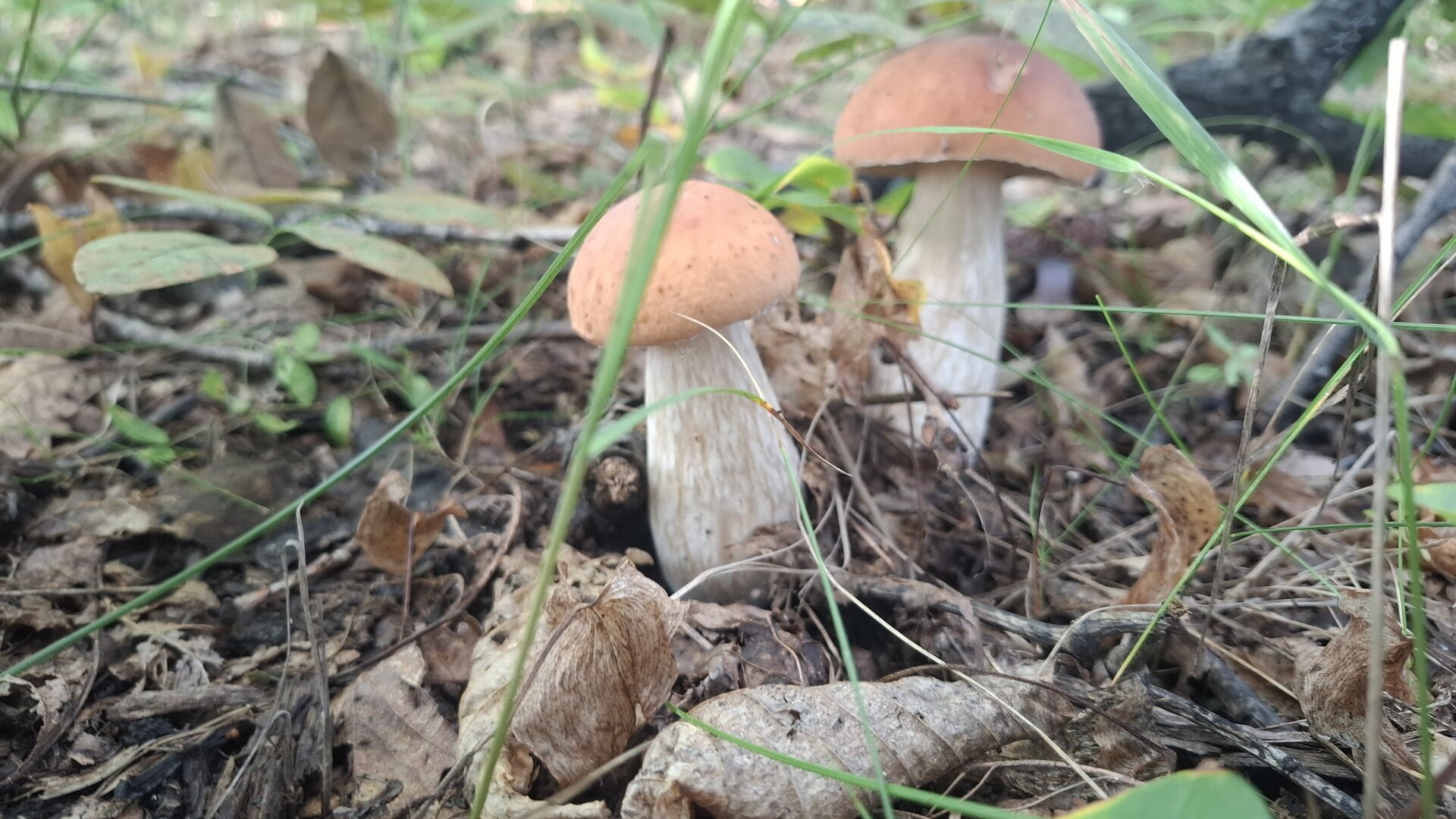 20260901_083626.jpg