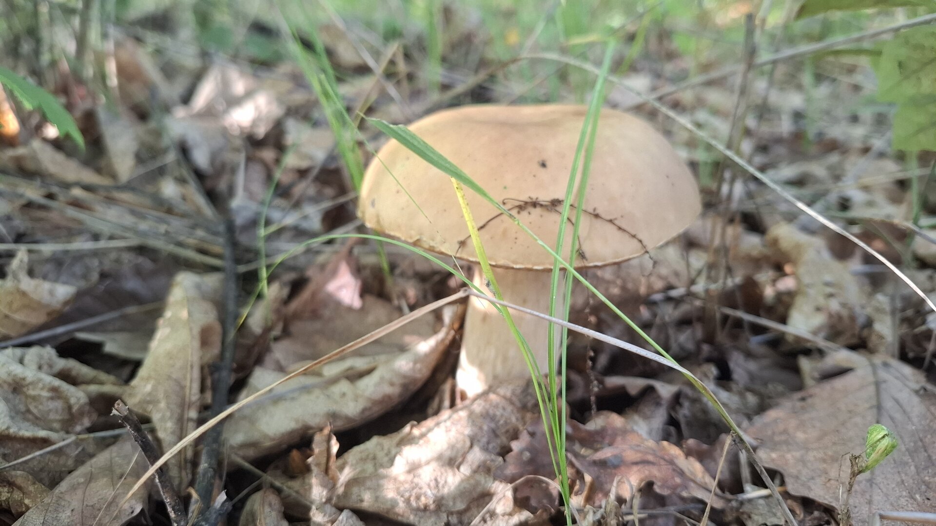 20260901_083631.jpg