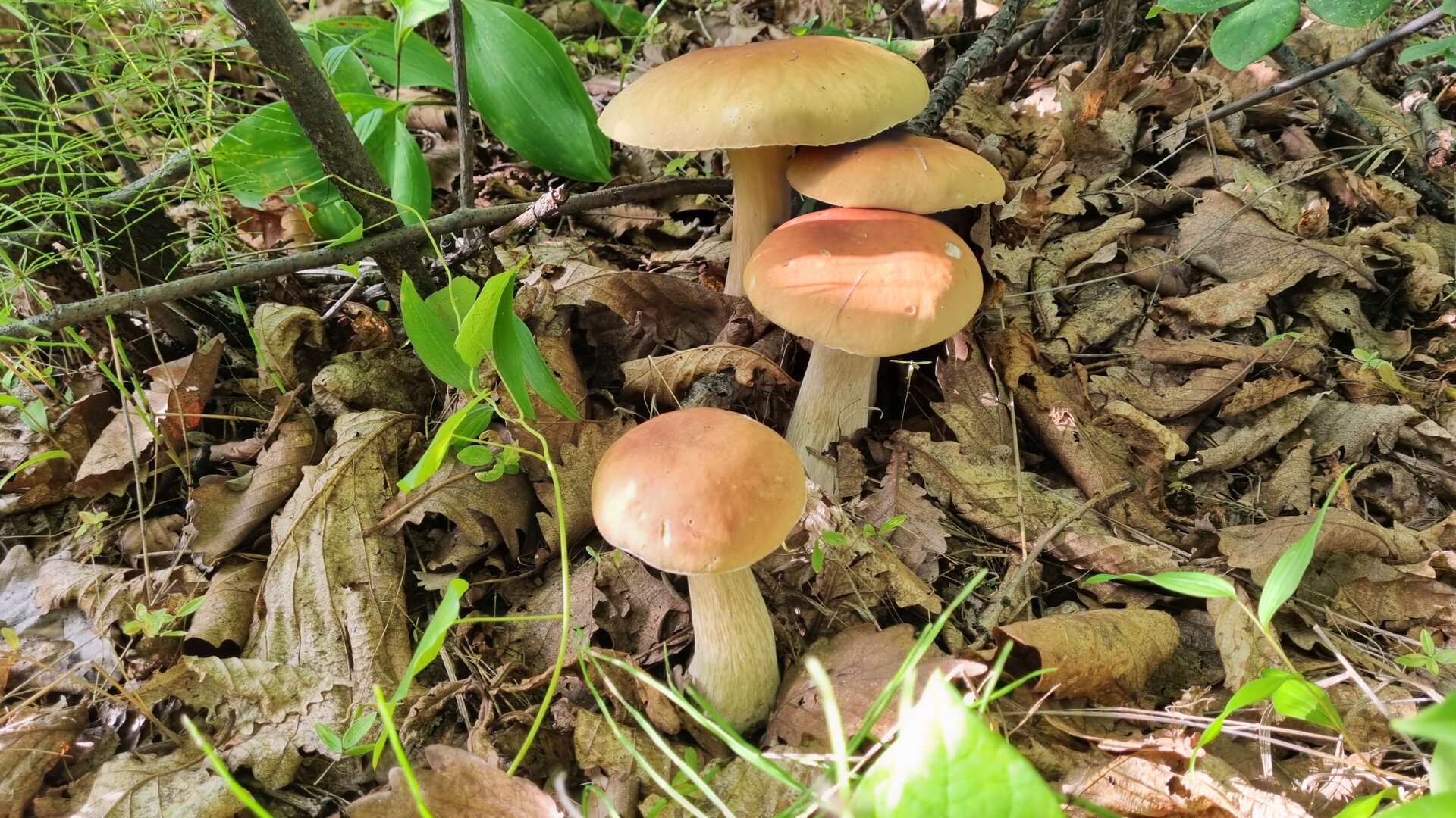 20260901_084238.jpg