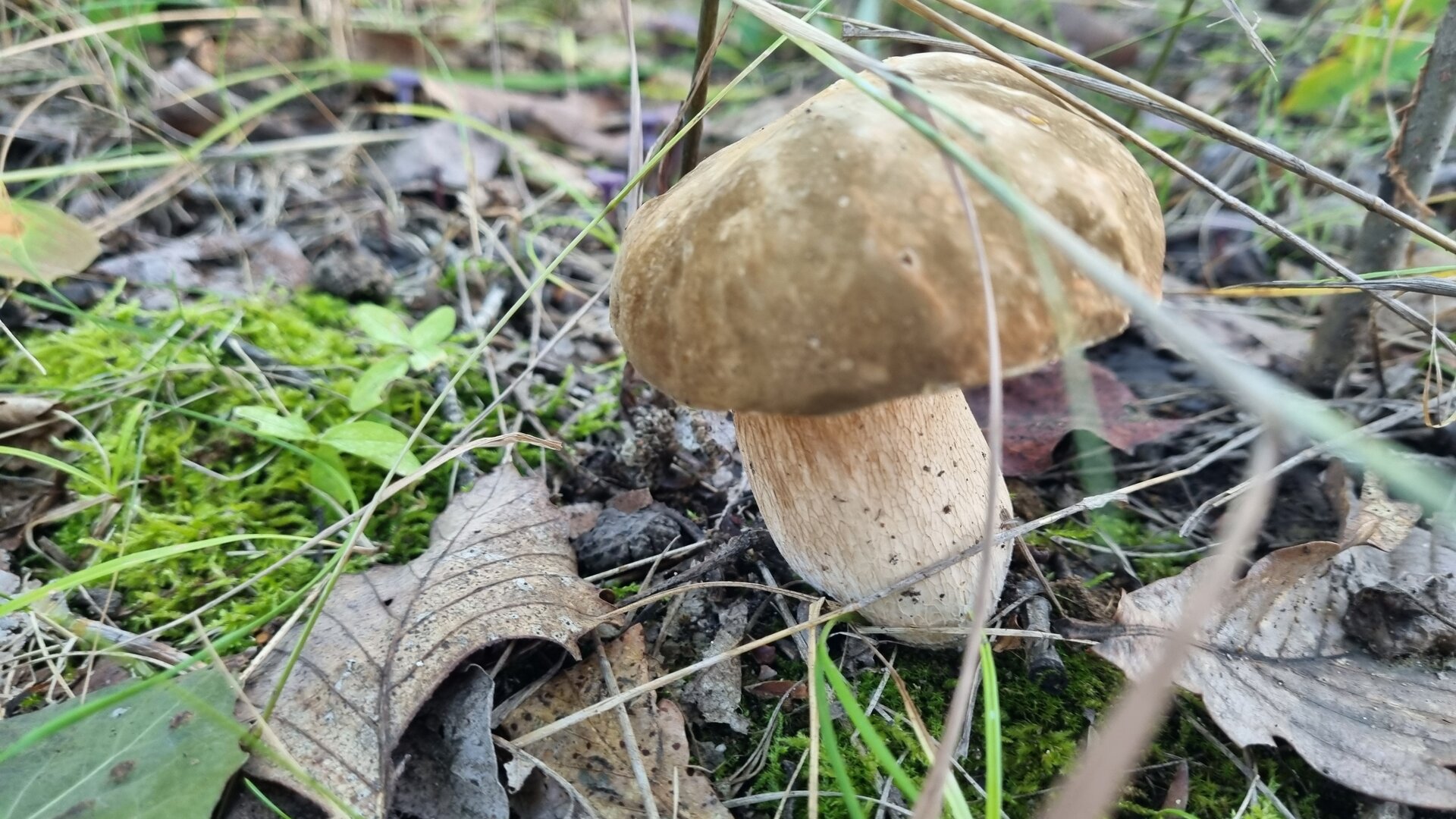 20260901_085259.jpg