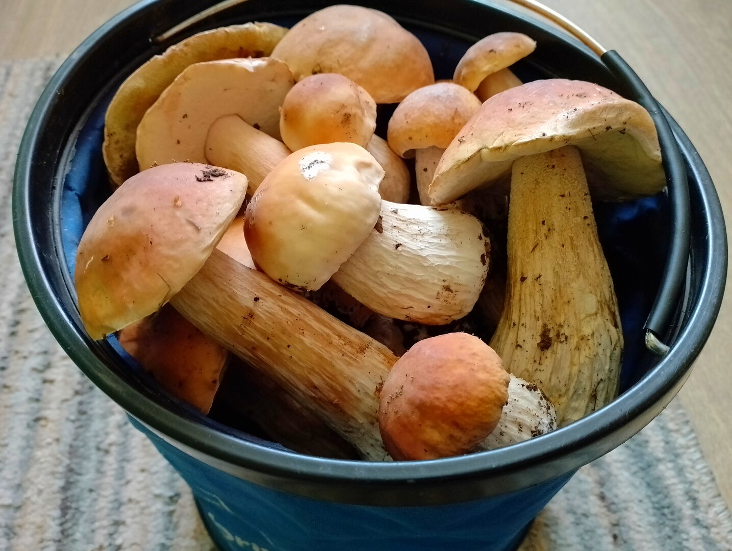 20260905_162514558.jpg