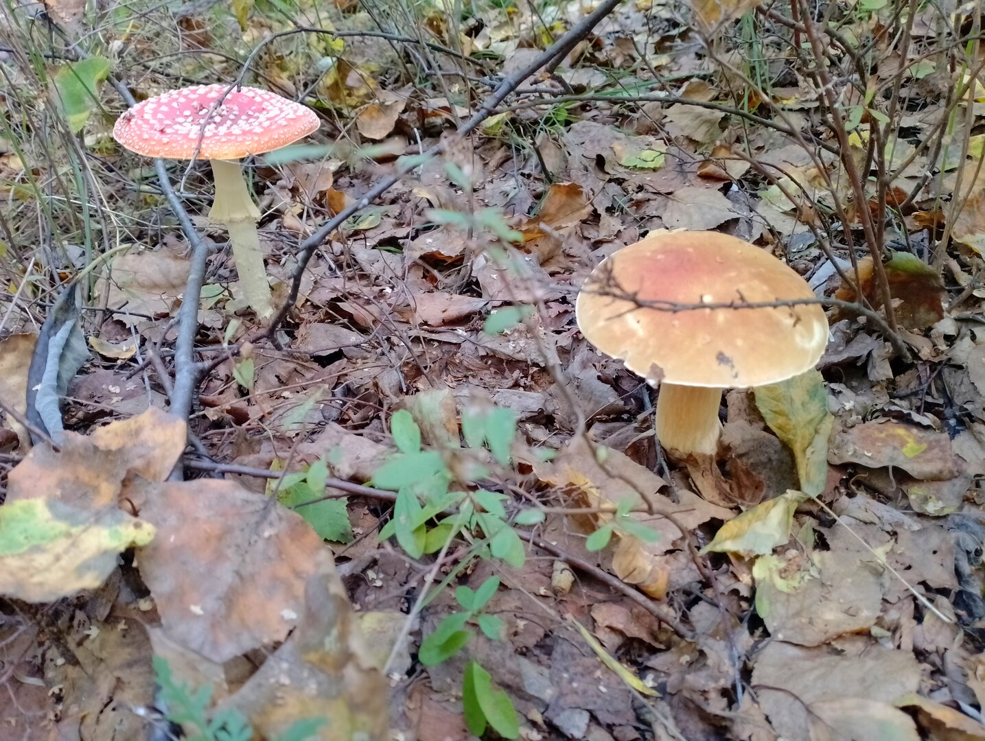 20260906_143918688.jpg