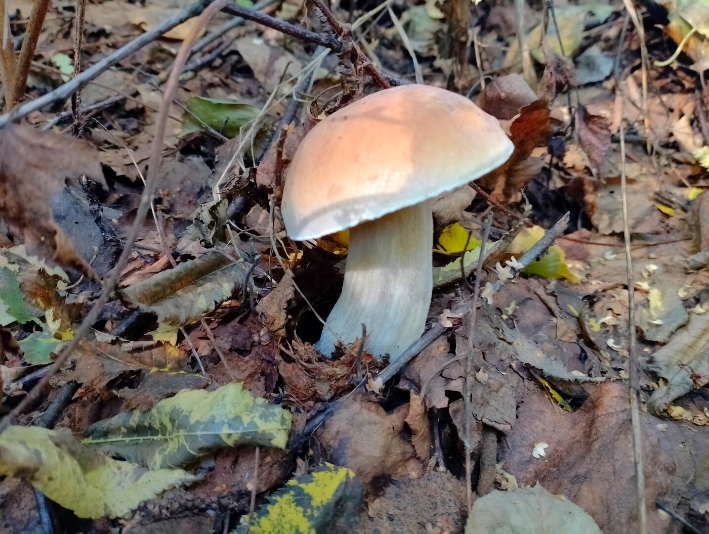 20260906_144326609.jpg