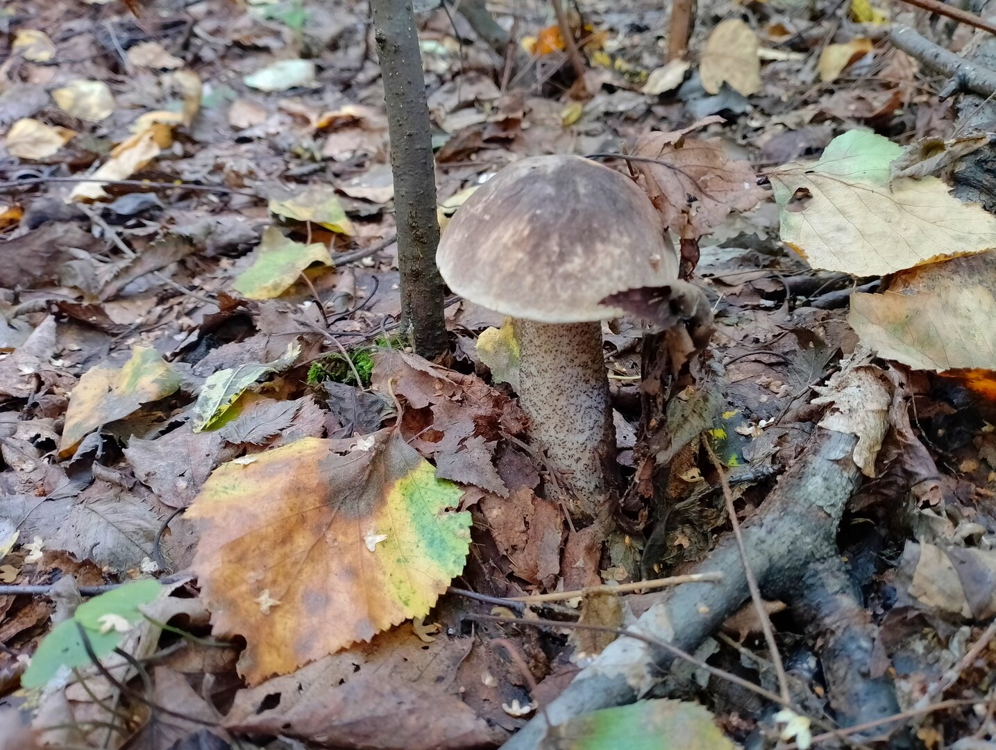 20260906_144444917.jpg