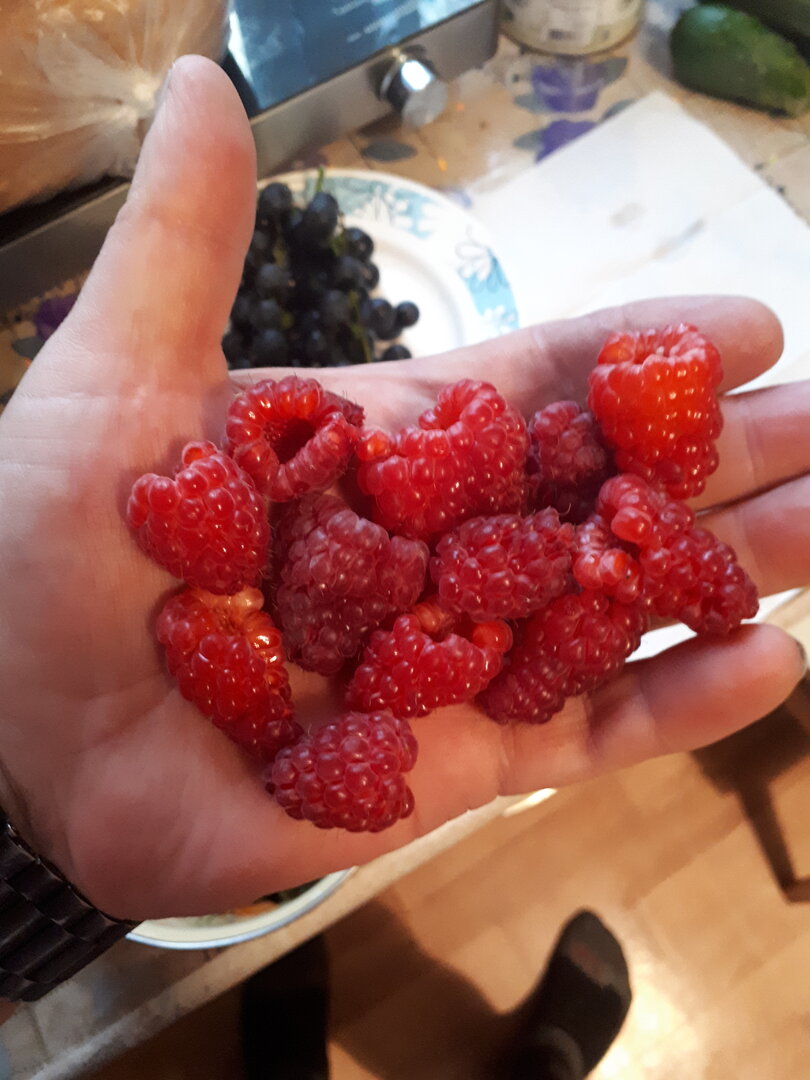 20260909_184714.jpg