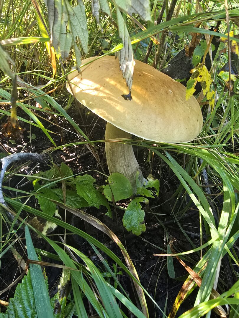 20260912_094833.jpg