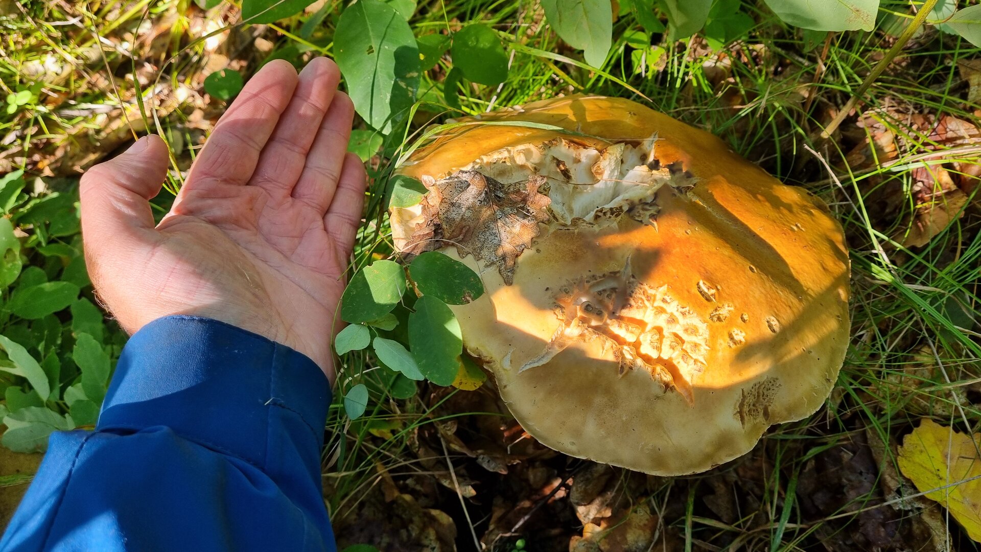 20260912_110109.jpg