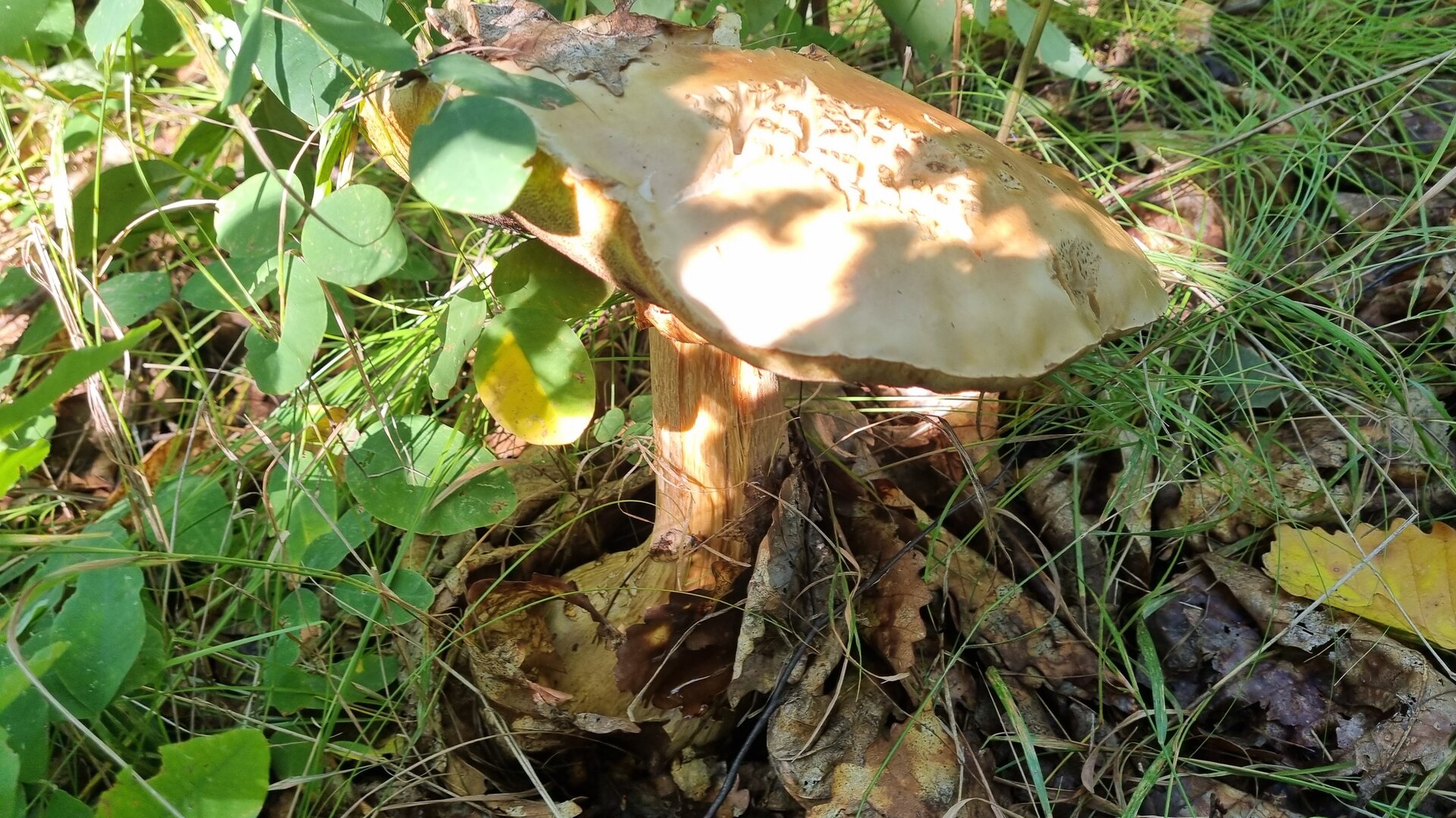 20260912_110113.jpg