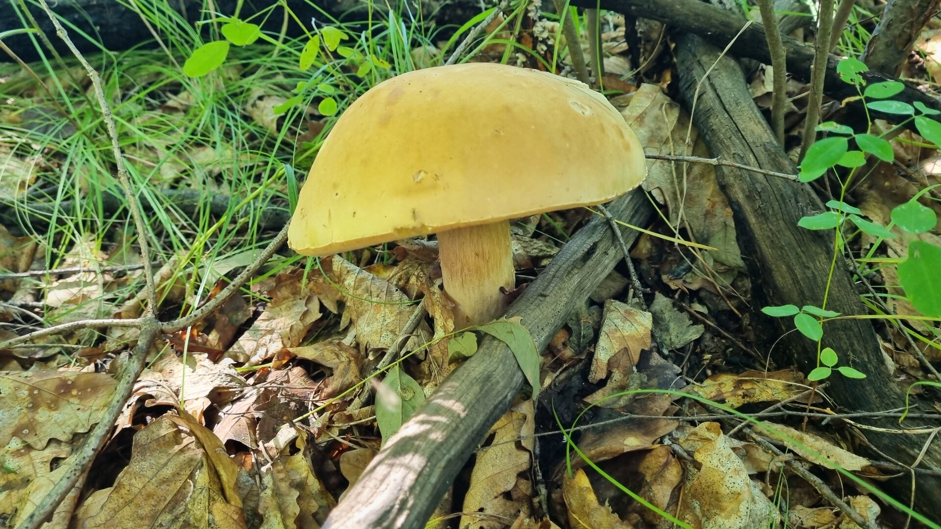 20260912_110127.jpg