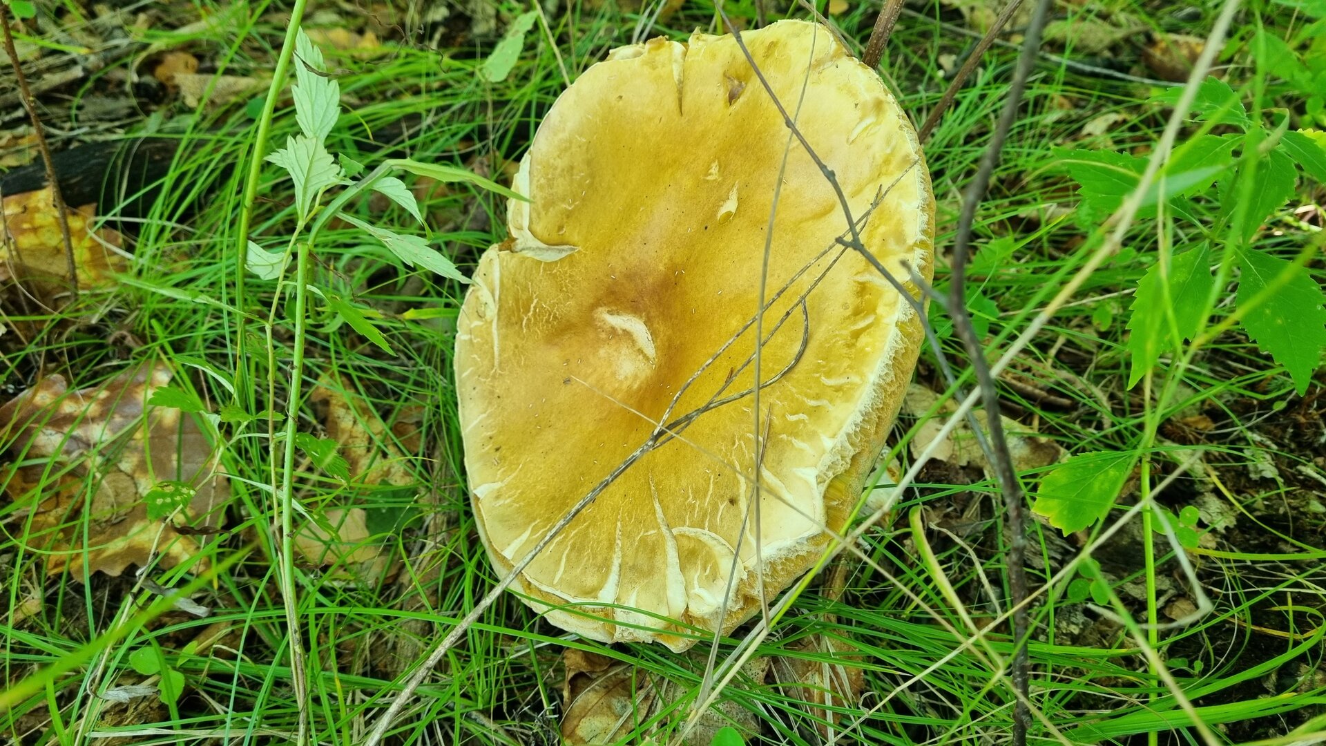 20260912_110142.jpg