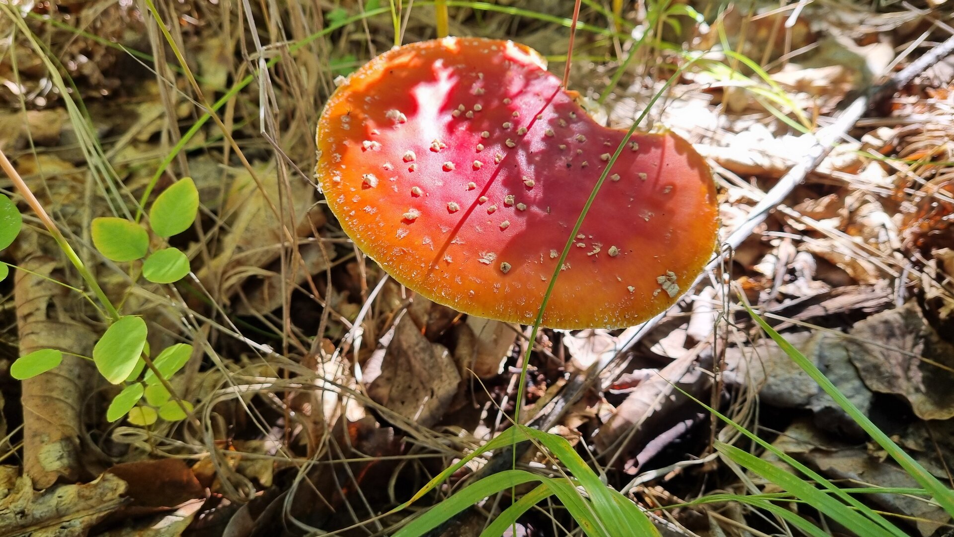 20260912_112218.jpg