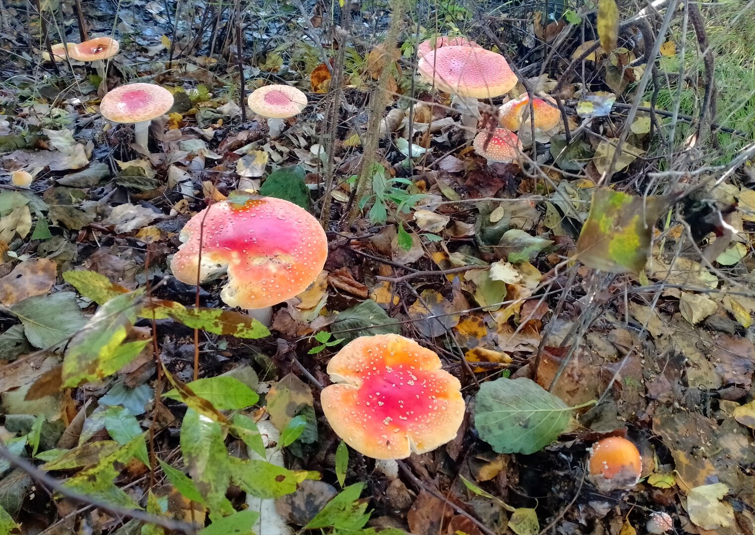 20260912_133023119.jpg