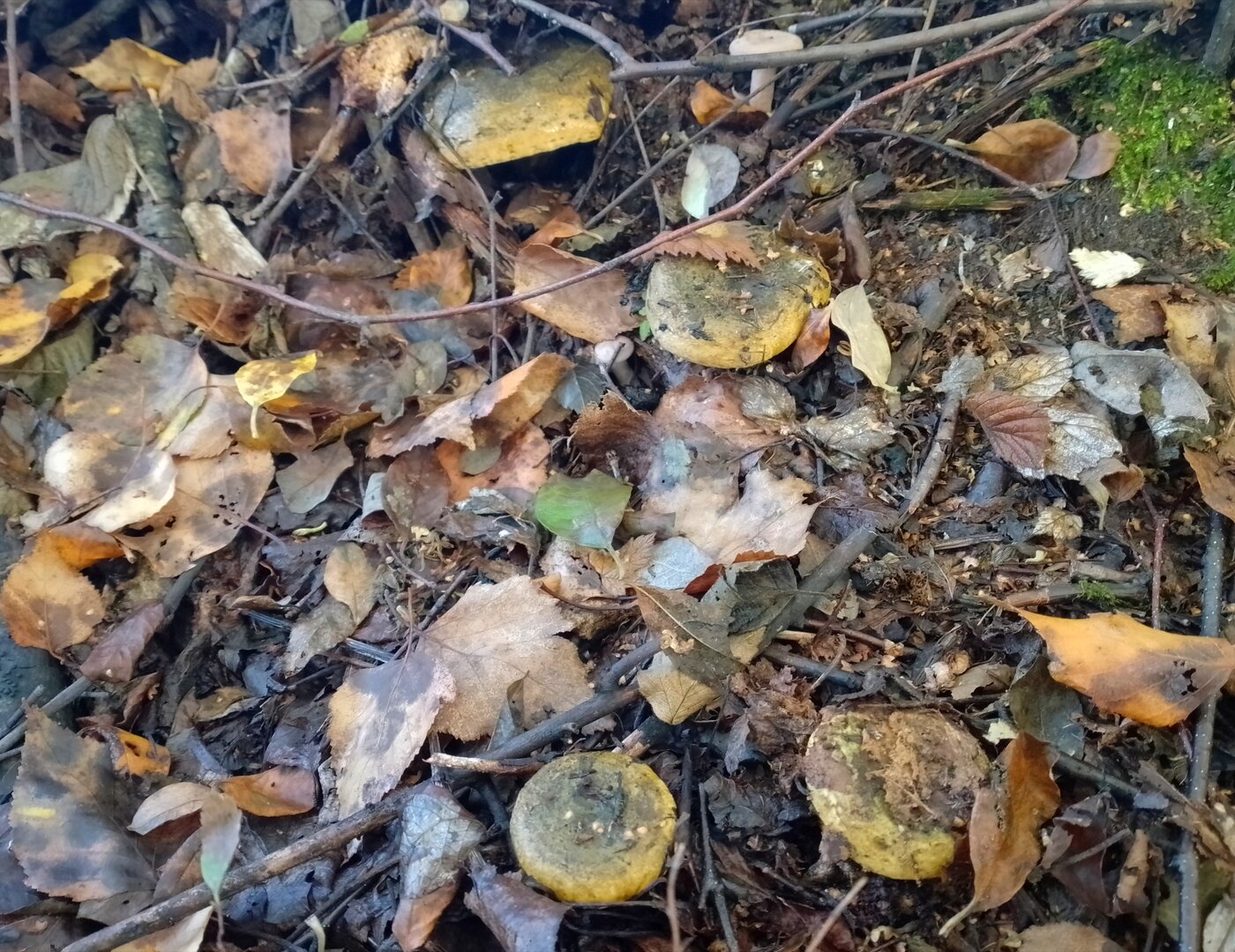 20260912_133258771.jpg