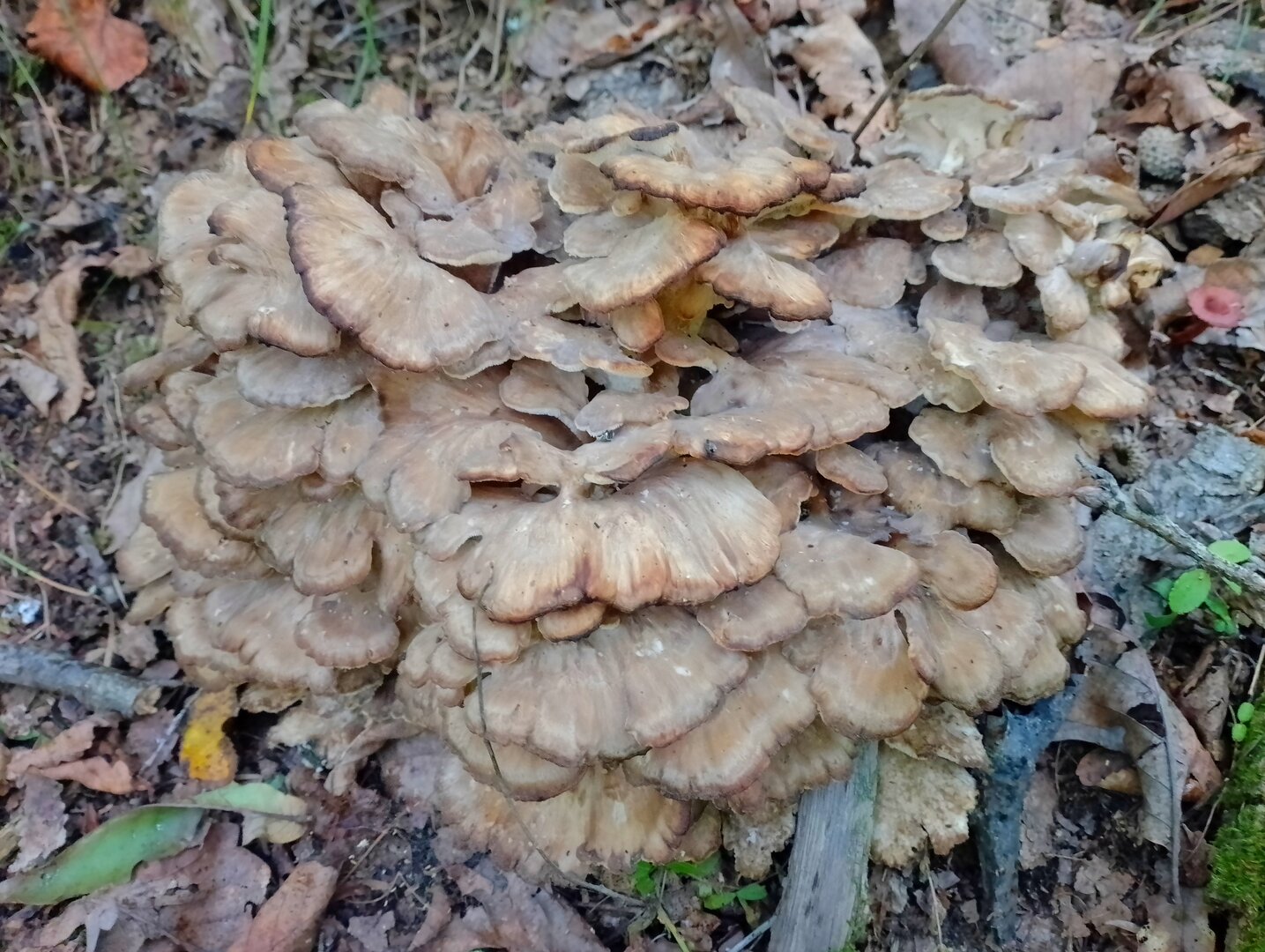 20260913_104931664.jpg