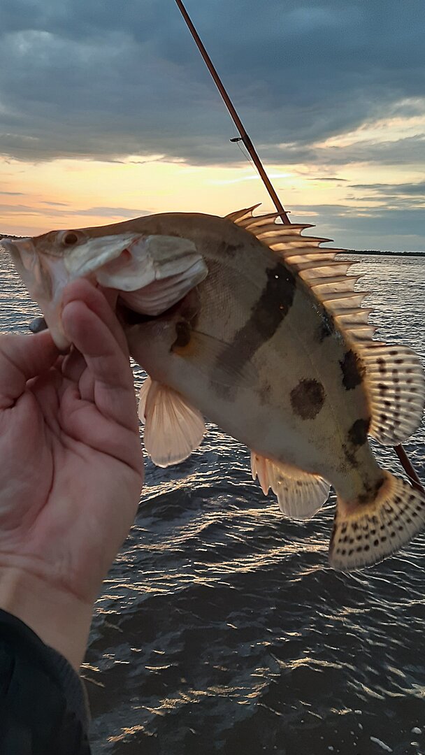20260915_191020.jpg