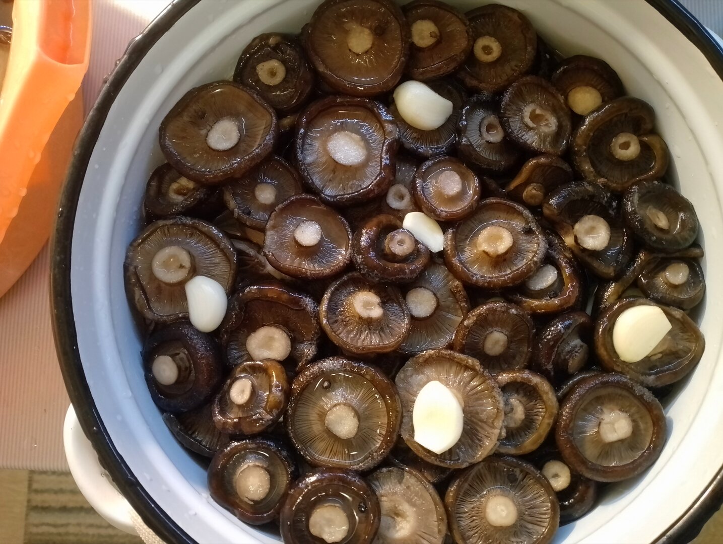 20260916_151016945.jpg