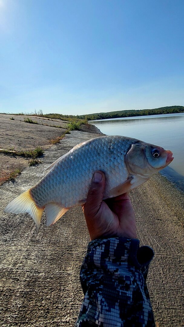 20260917_100106.jpg