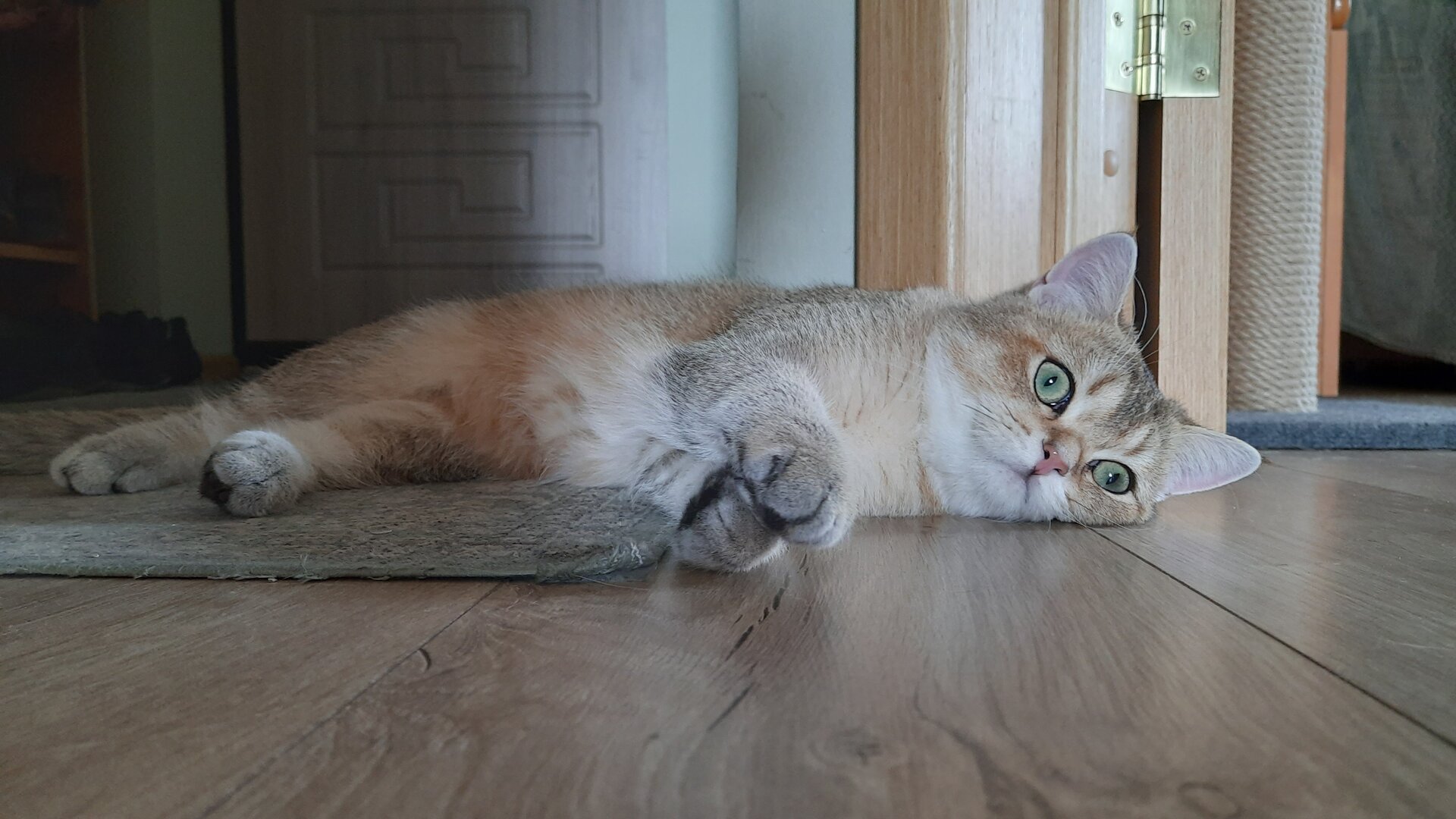 20260920_113822.jpg
