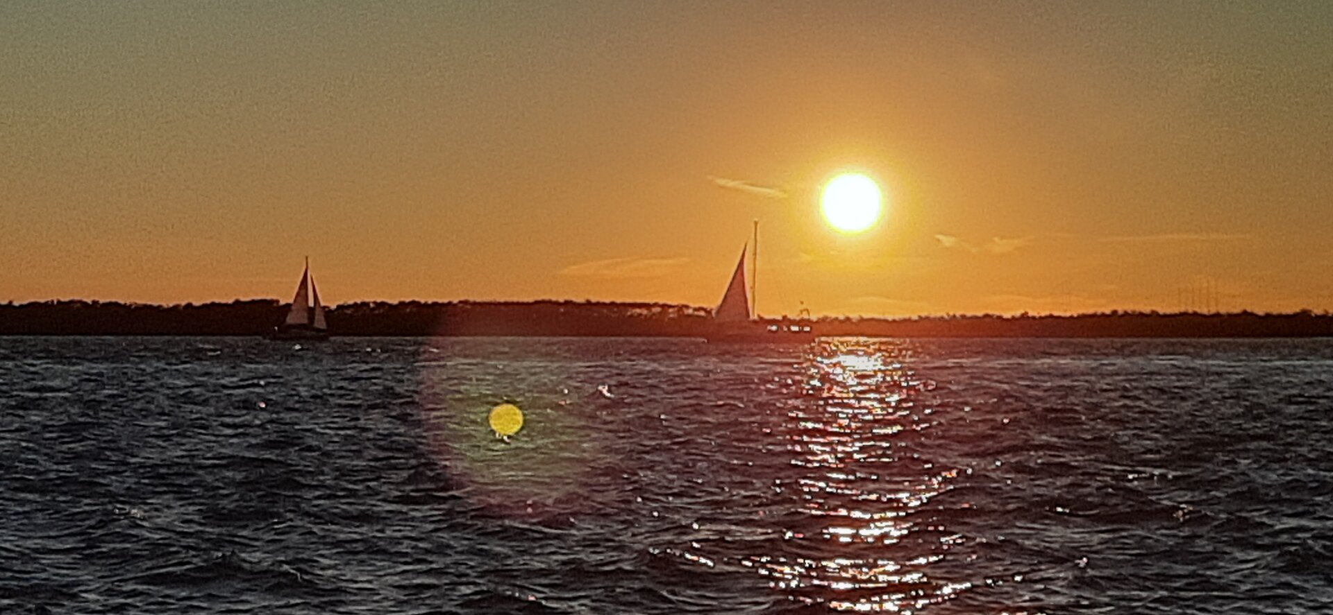 20260922_184315.jpg