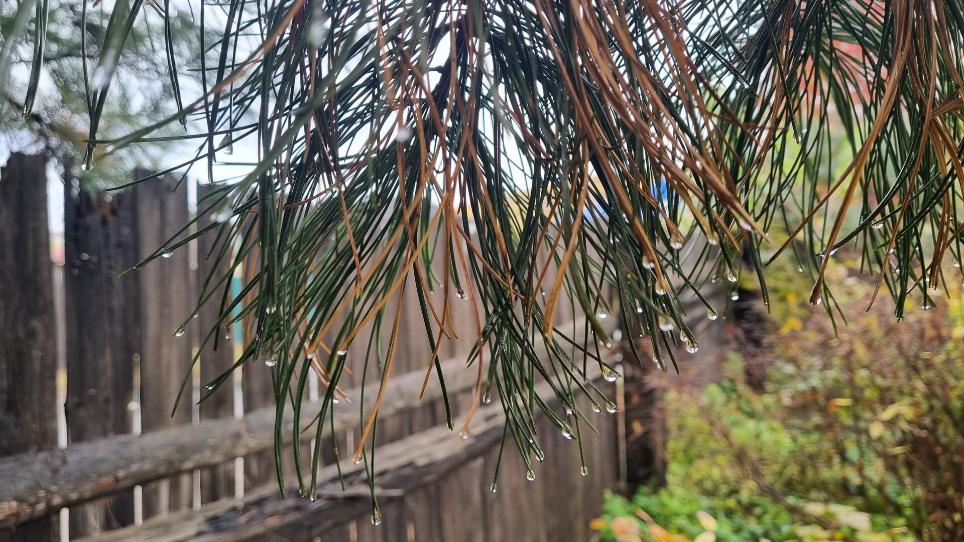 20260930_124712.jpg