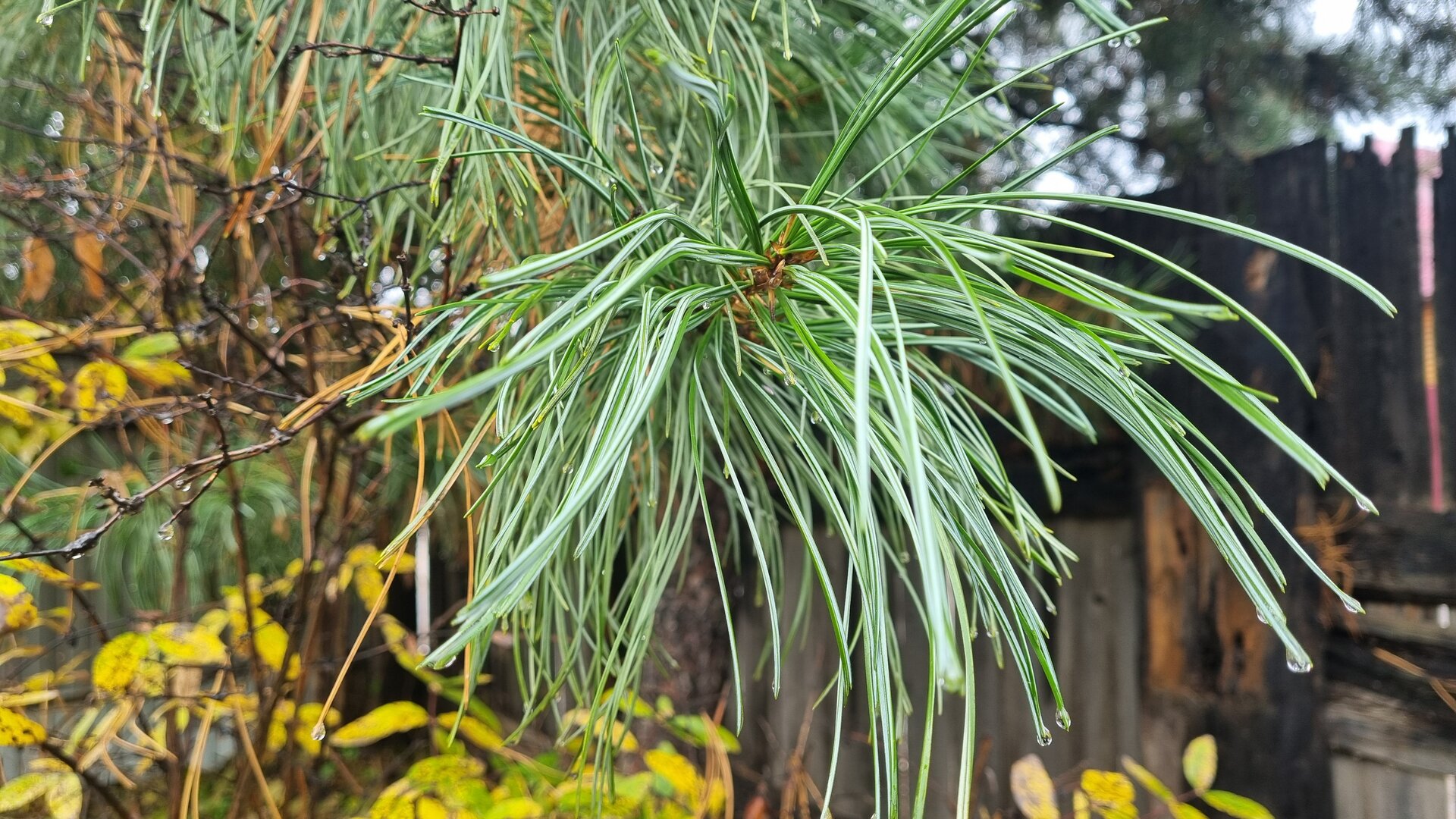20260930_124720.jpg
