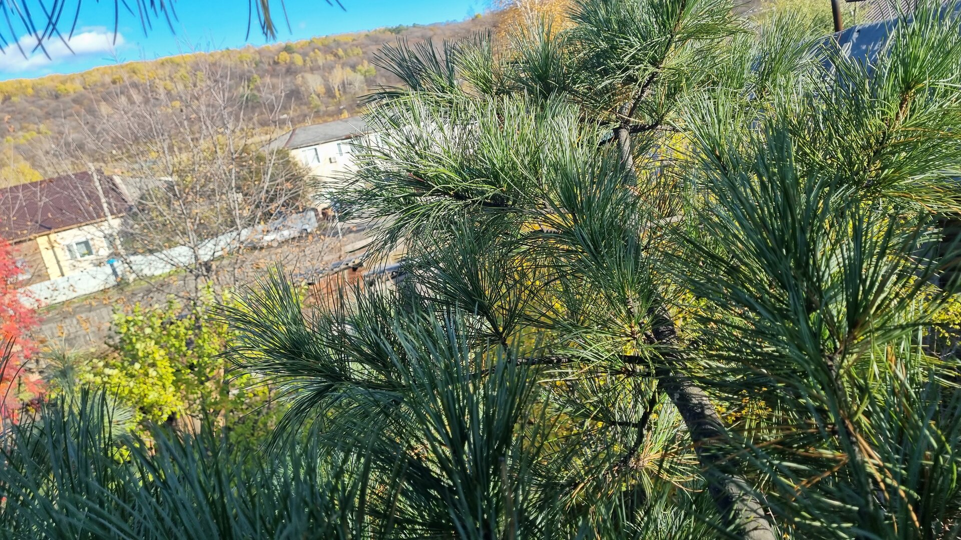 20261002_163718.jpg