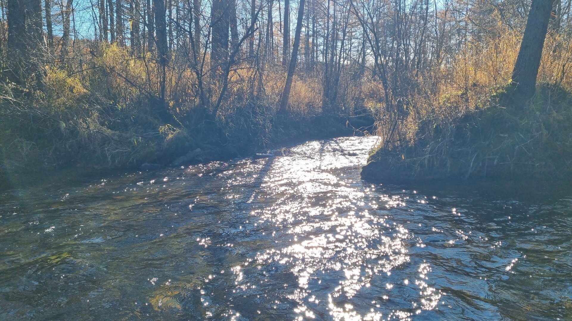 20261005_102930.jpg
