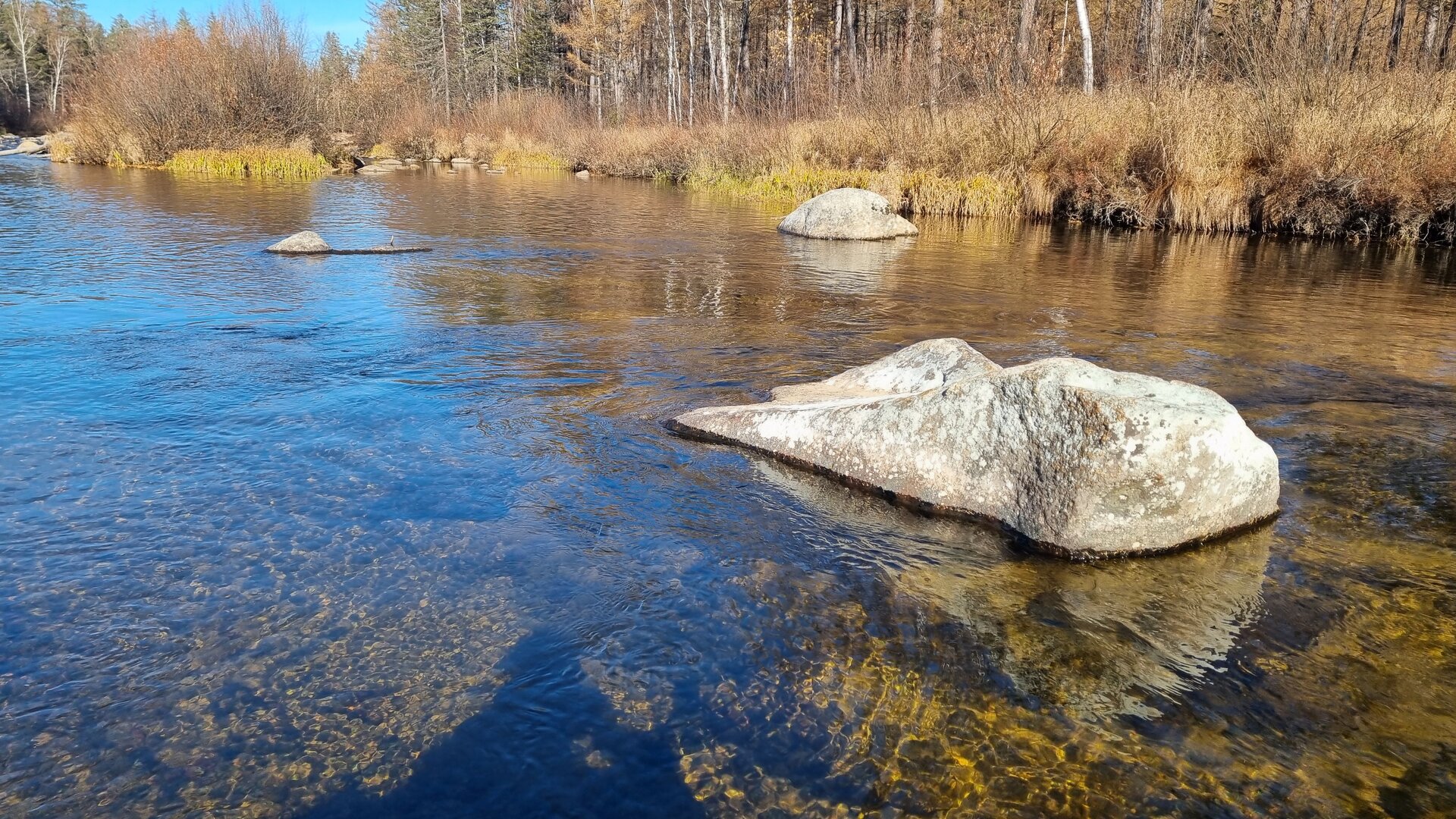 20261006_103026.jpg