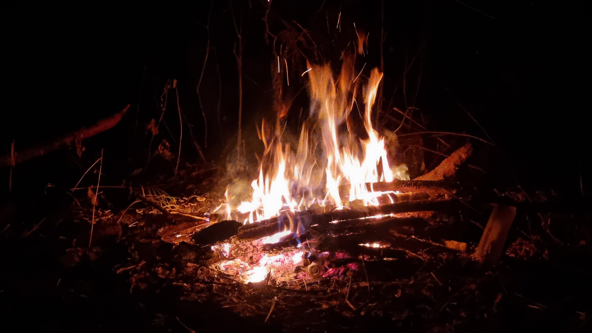 20261006_205200.jpg