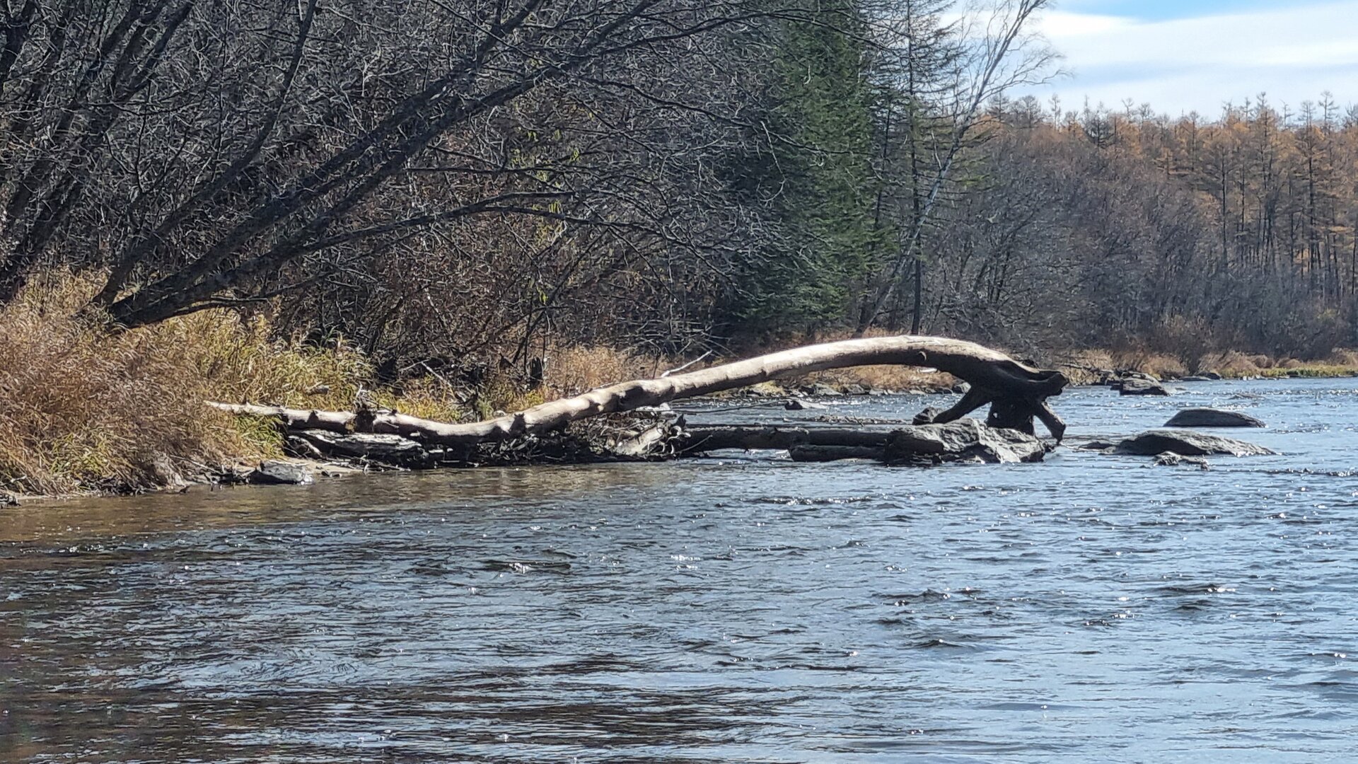20261007_122644.jpg