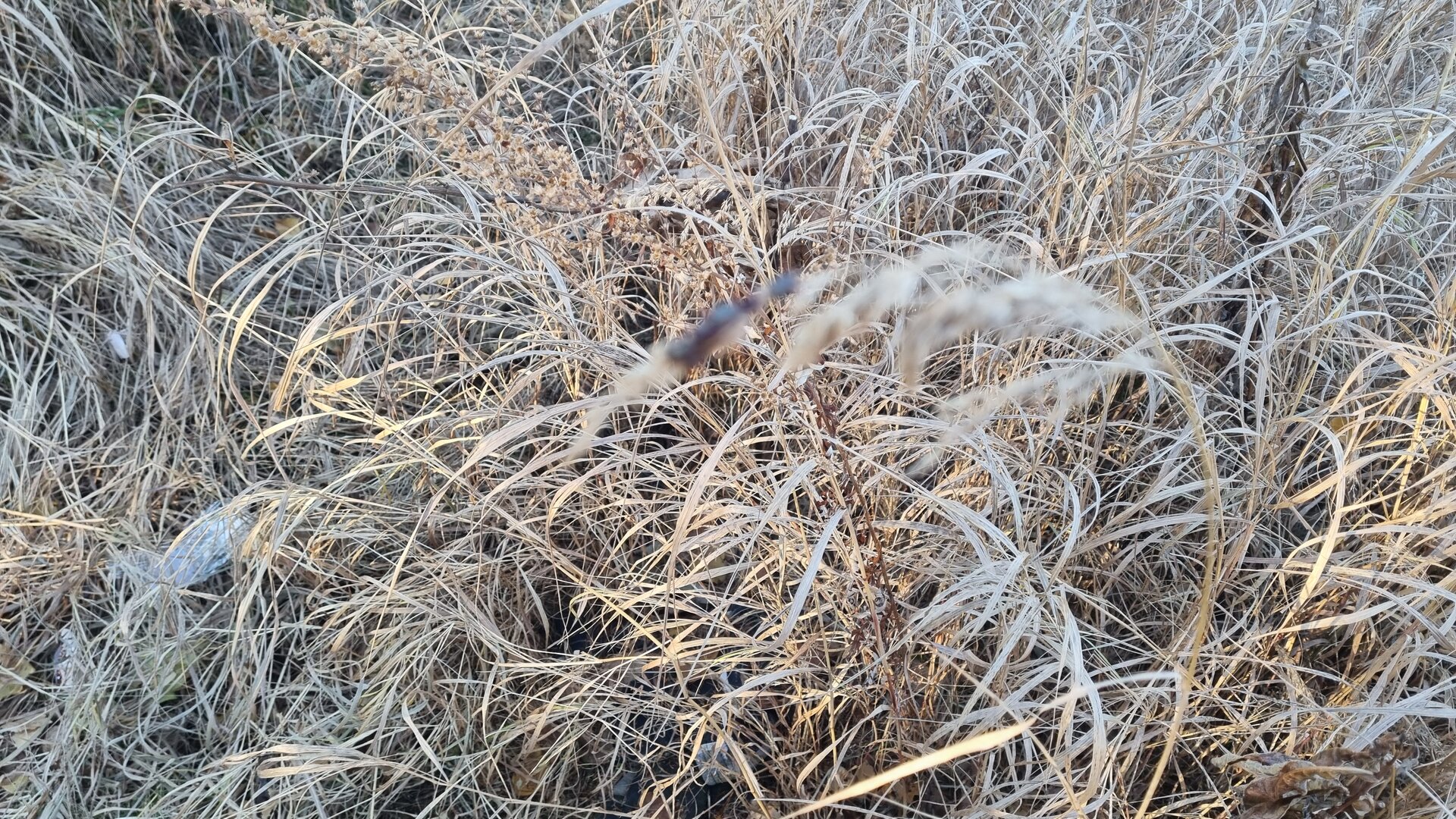 20261008_082412.jpg