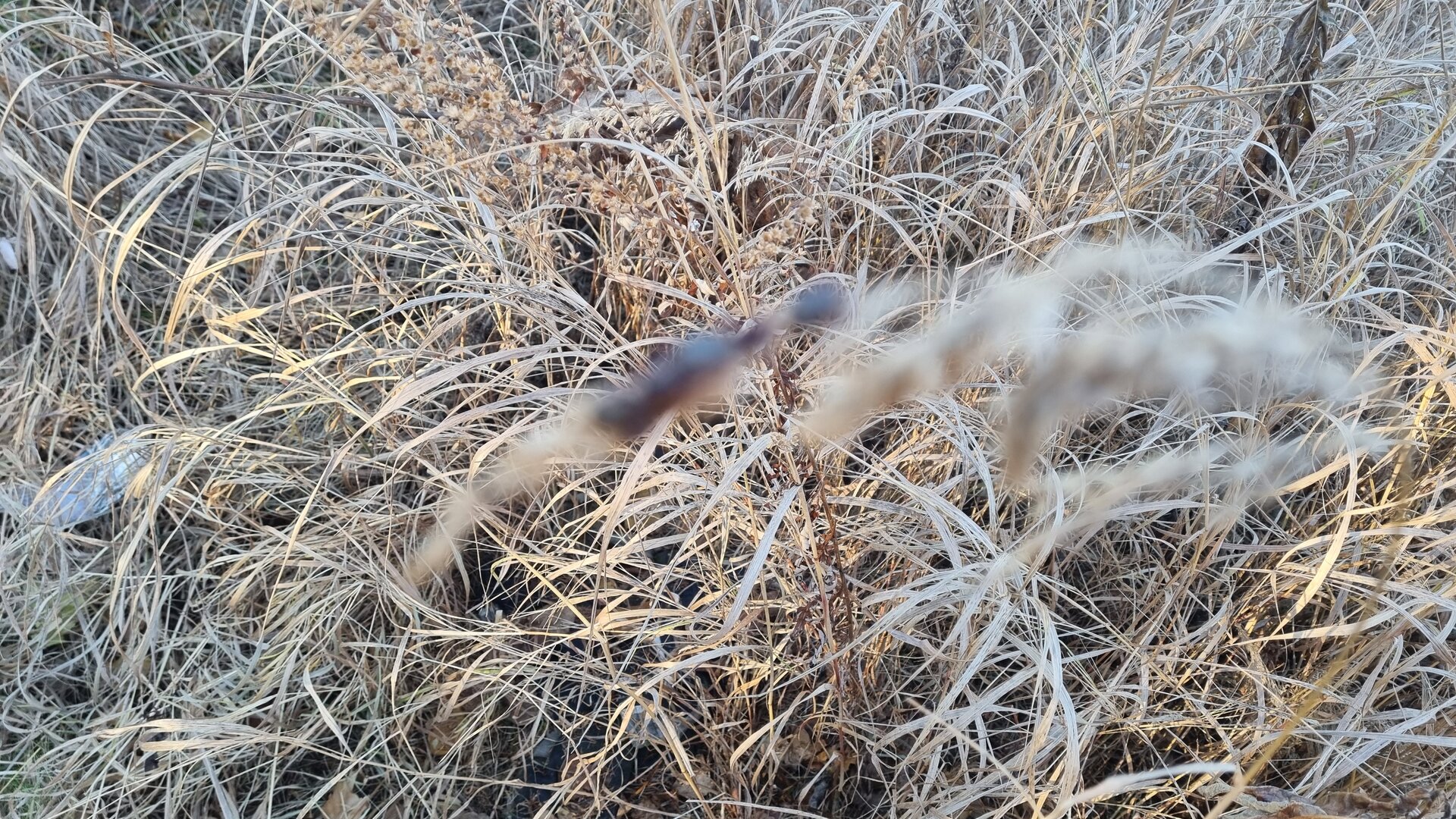 20261008_082415.jpg