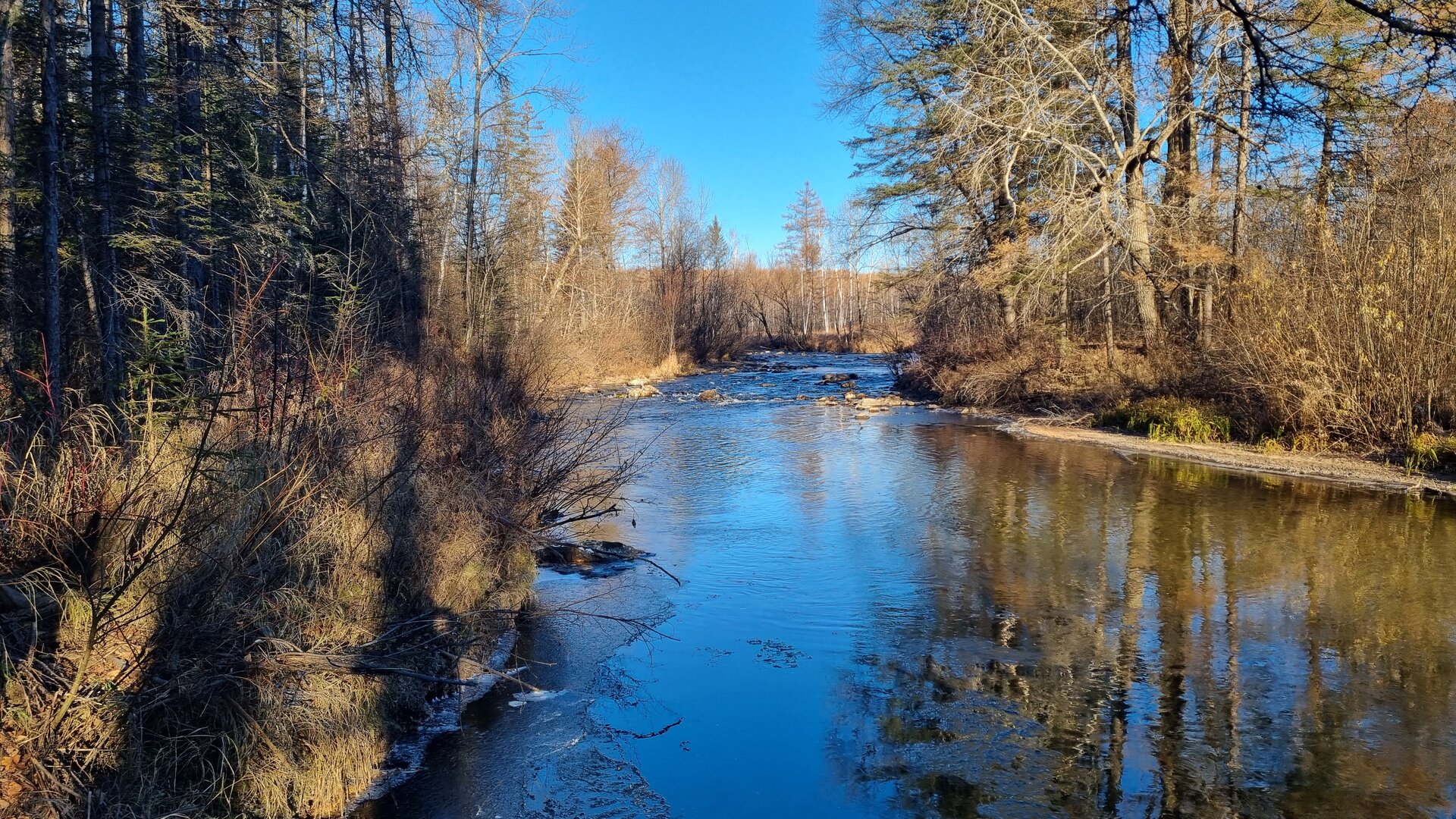 20261009_085150.jpg