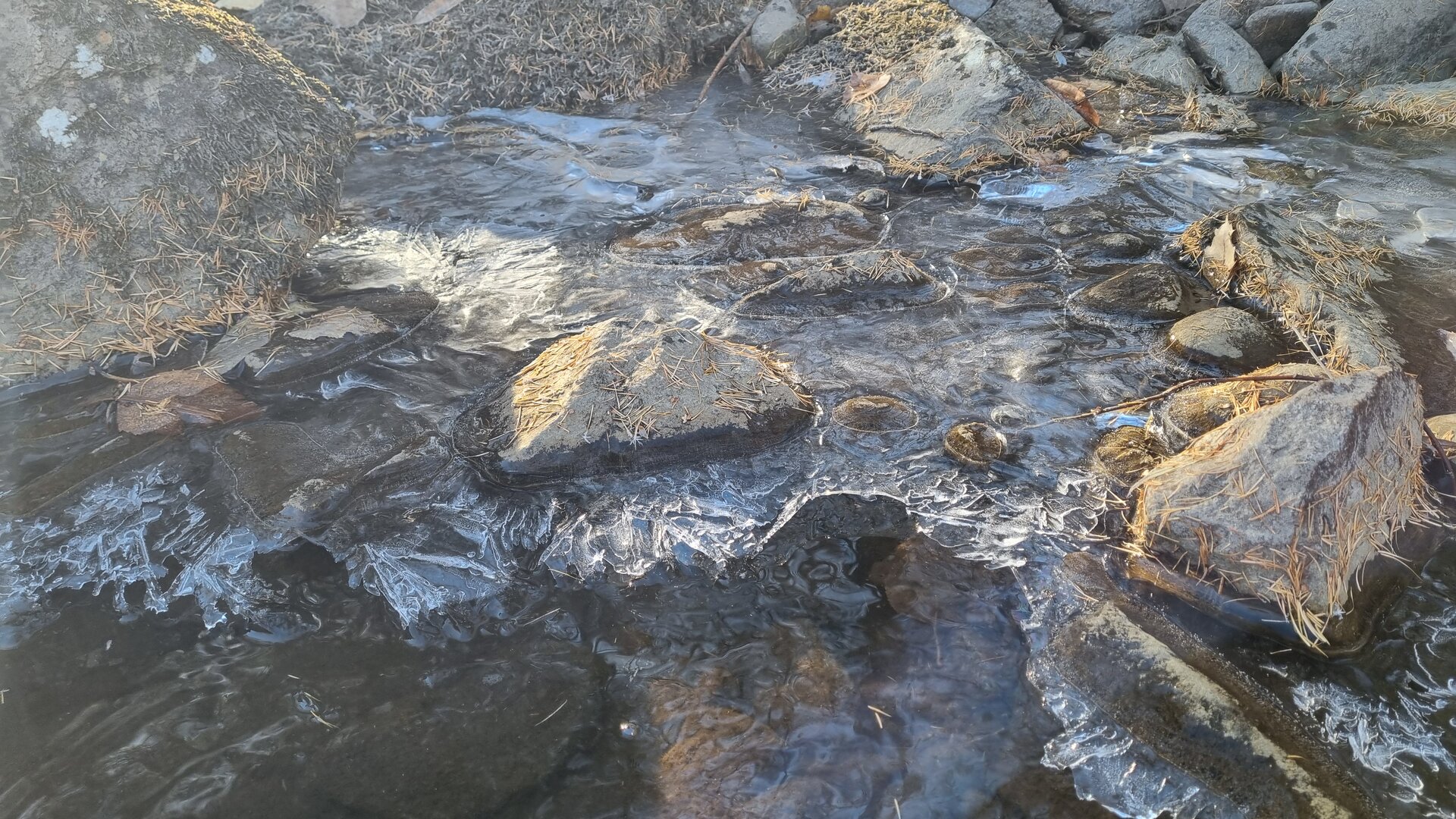 20261009_095358.jpg