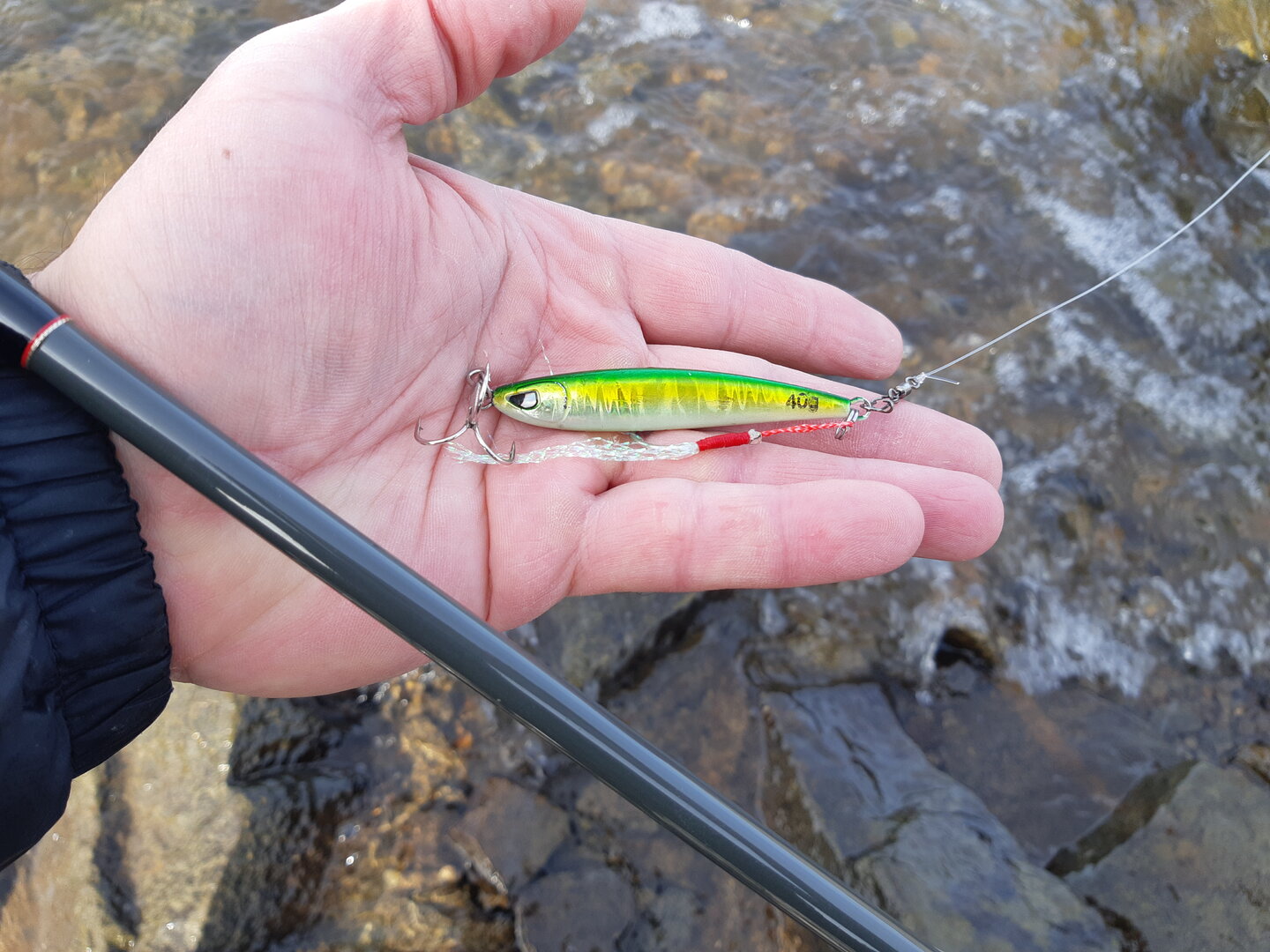 20261009_140012.jpg