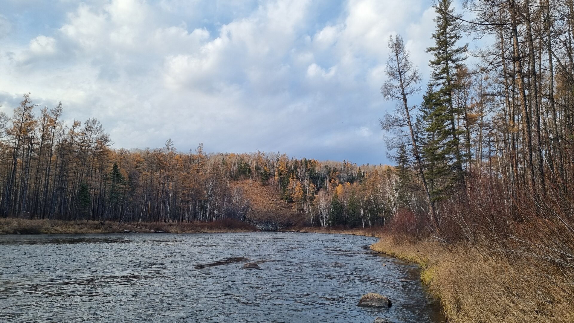 20261009_172925.jpg